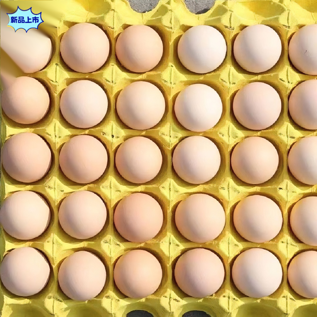 【独立包装】土鸡蛋新鲜乌鸡蛋农家散养柴鸡蛋正宗虫月子早餐蛋优