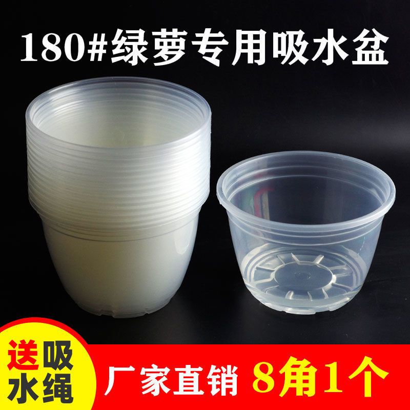 懒人花盆自动吸水盆套绿萝植物免浇水圆形塑料透明储水盆底座加厚