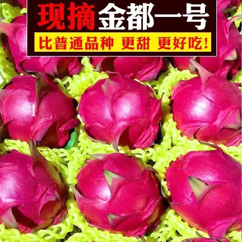 【店家推荐】广西应季金都一号鲜红火龙果红心新鲜采摘水果果园直供