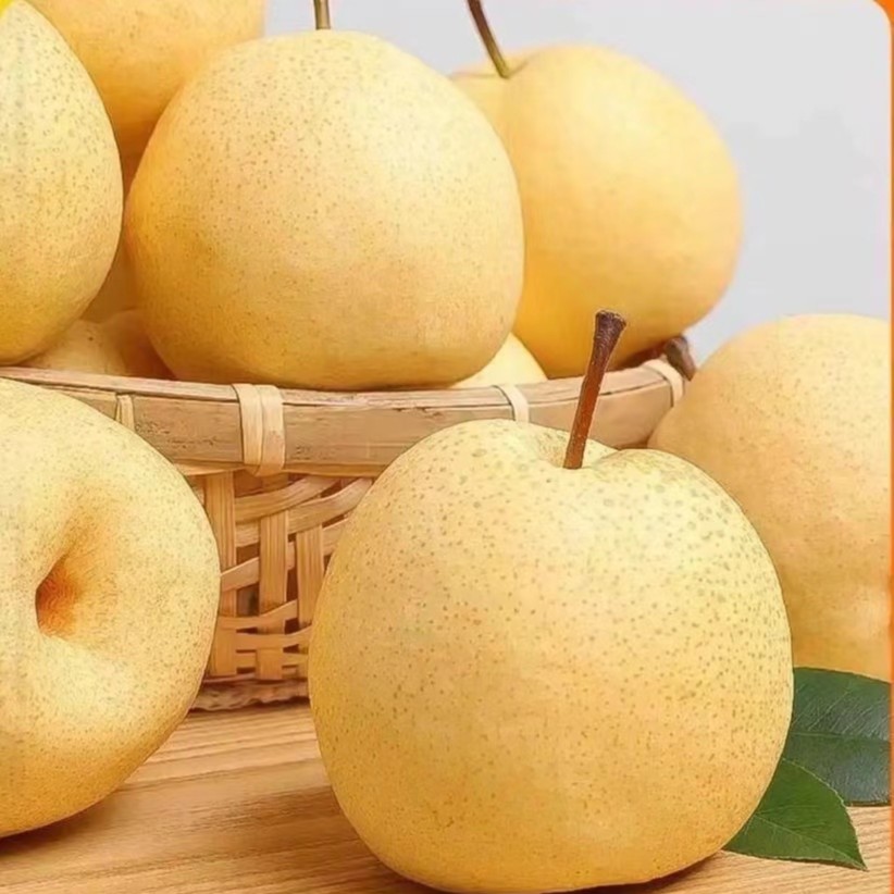山西贡梨酥梨当季新鲜水果酥脆多汁甘甜可口颗颗爆汁果园直发