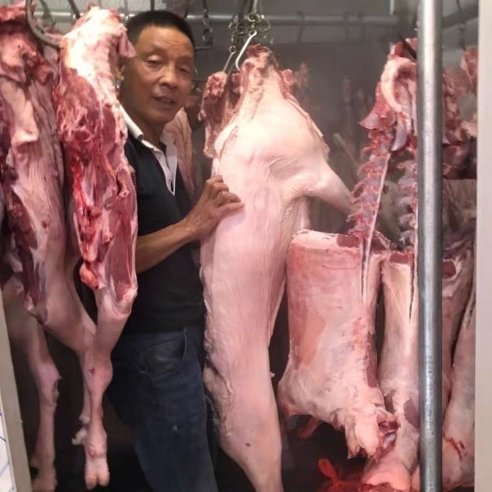 老陈家上海崇明白山羊羊肉3斤起排羊腿带皮带骨热气山羊肉