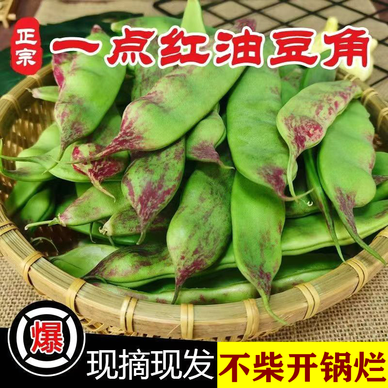 东北油豆角现摘现发一点红新鲜蔬菜特产九月青开锅烂面糊豆角包邮
