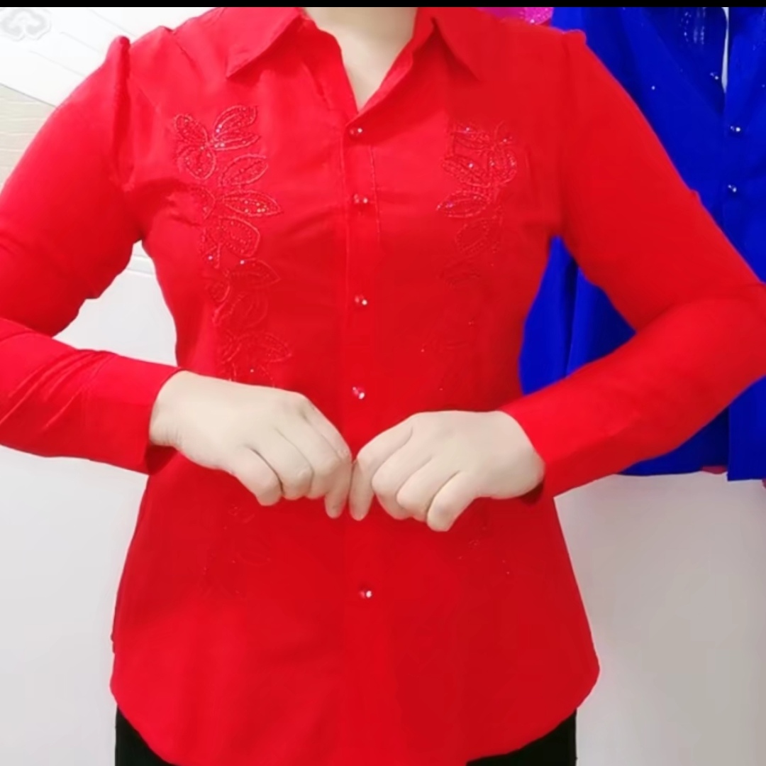 2055款南韩棉质衬衫时尚减龄百搭洋气长袖气质显瘦