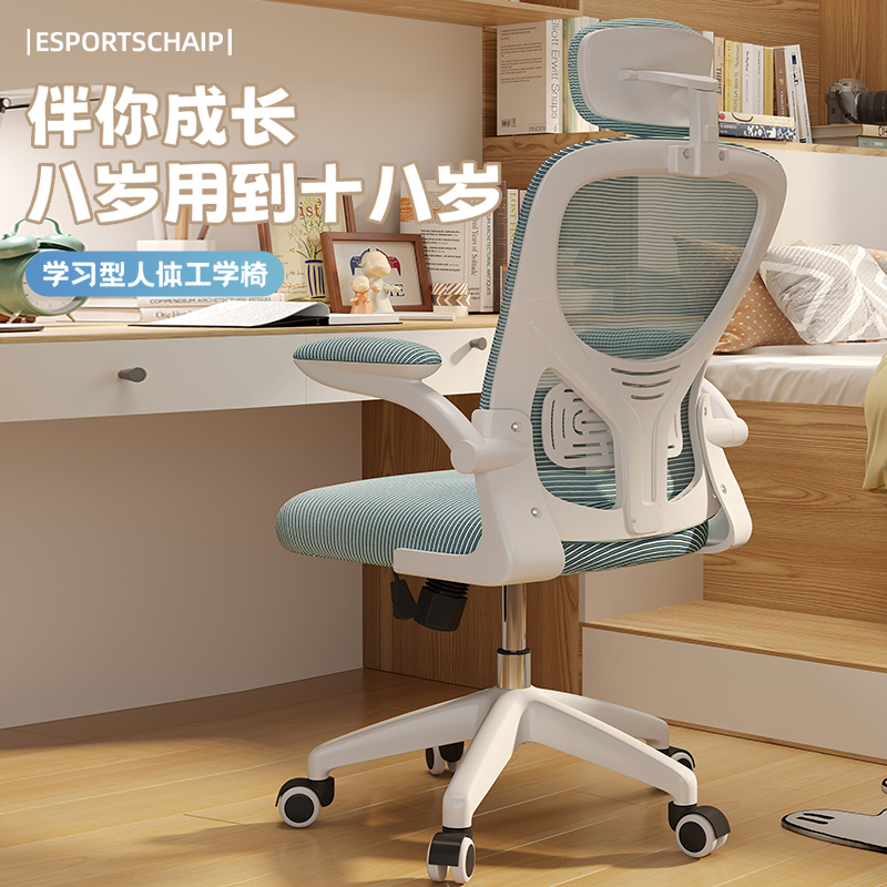 人体工学椅子家用电脑椅舒适久坐办公椅学生宿舍学习可升降电竞椅
