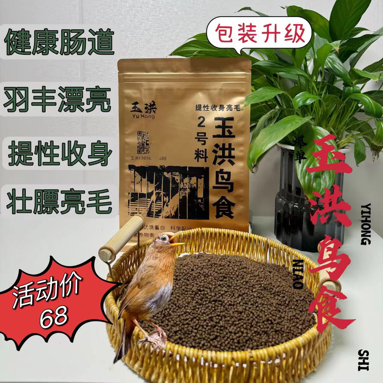 玉洪鸟食 2号A+画眉鸟食饲料提性壮膘收身实战画眉食饲料鸟粮