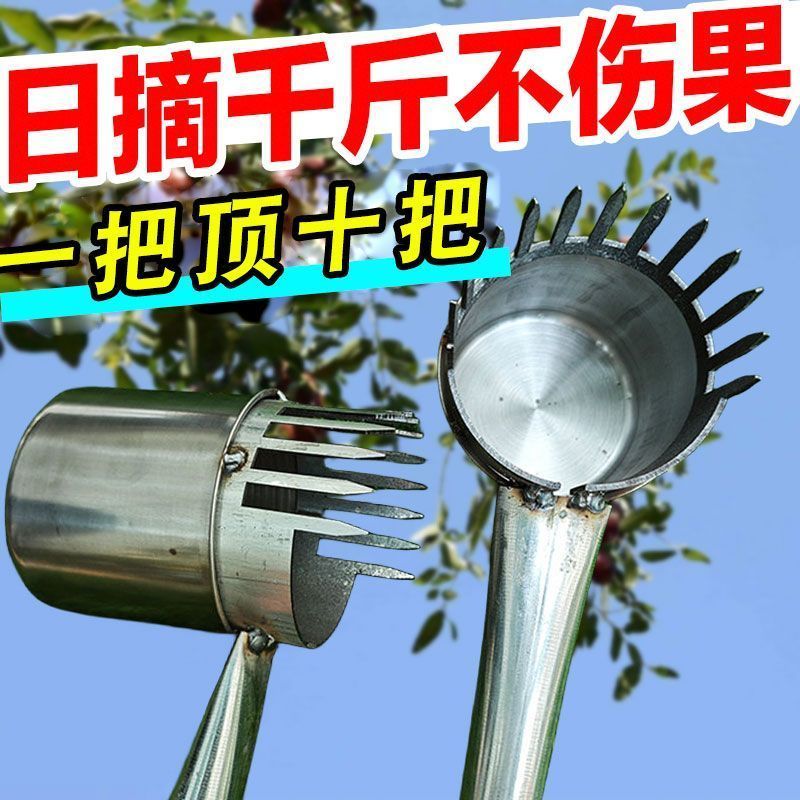 加厚2024新款酸枣不锈钢摘果器采果山枣柏树神器小枣工具扎手