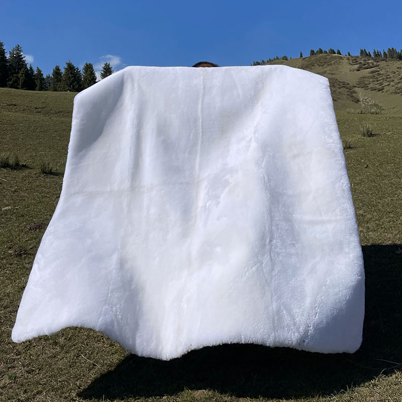 新疆剪绒羊皮褥子皮毛一体纯羊毛垫子厚床垫羊皮床褥保暖吸湿防潮