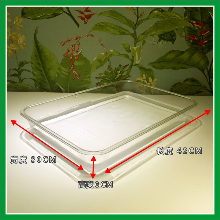 鹦鹉浴盆浴缸泡澡洗澡盆鸟用洗澡盒浴盆鹦鹉用品大全洗澡缸洗澡盒