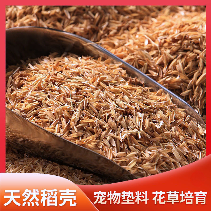 新鲜稻壳种花种菜种树拌土疏松土壤透气粗糠芦丁鸡鸭鹅鳥飼料枕头