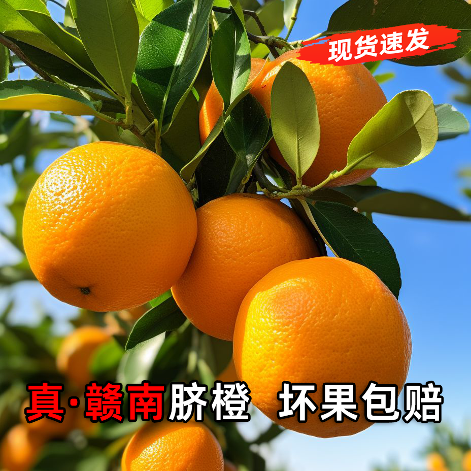 赣南脐橙【正宗赣南脐橙】现摘现发坏果包赔产地直发送礼佳品