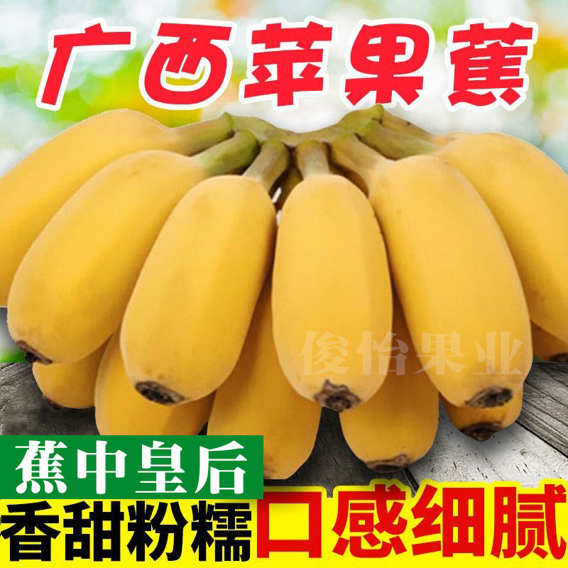 【粉丝福利】广西苹果蕉现摘自然放熟当季新鲜水果粉蕉1/5/10斤俊怡