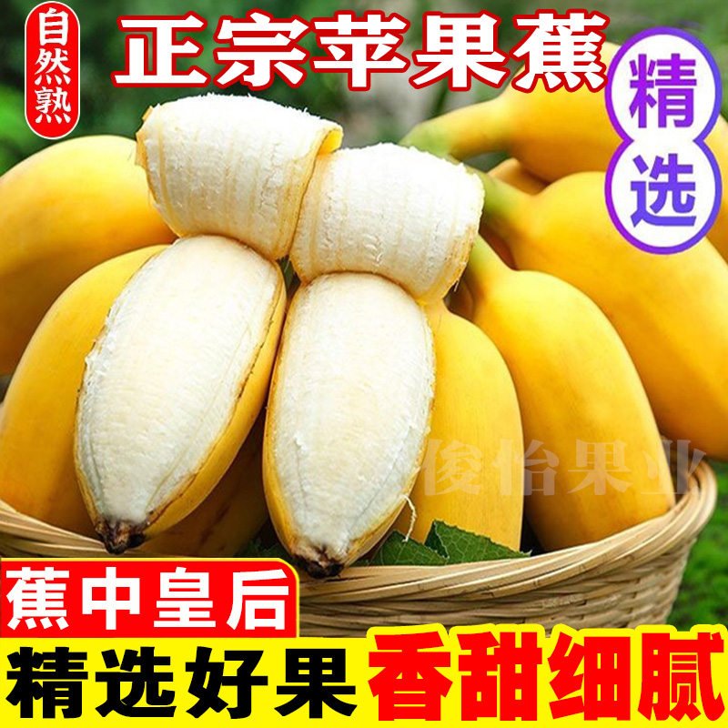 广西香甜苹果蕉9斤5斤当季新鲜时令水果特产粉蕉香蕉直播卖货俊怡