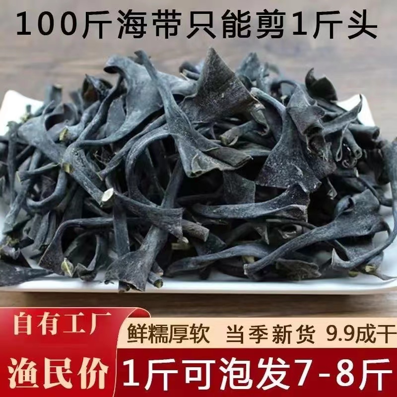 霞浦特产海带头日晒干货厚实美味农产品海带根高倍泡发率