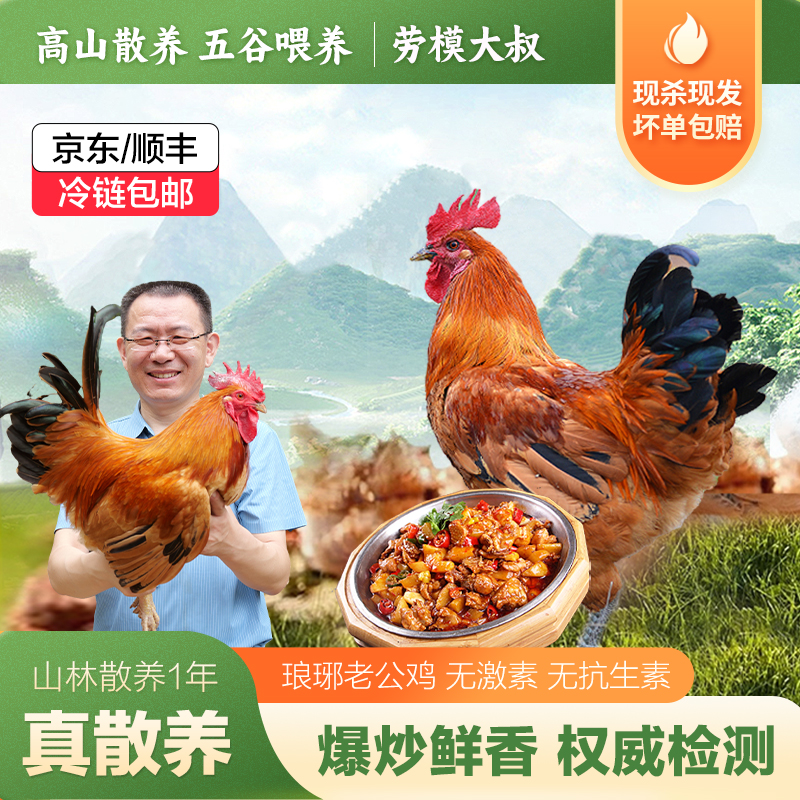 【琅琊老公鸡】劳模大叔正宗散养1年带脚蹬公鸡赠老母鸡+切块童子鸡