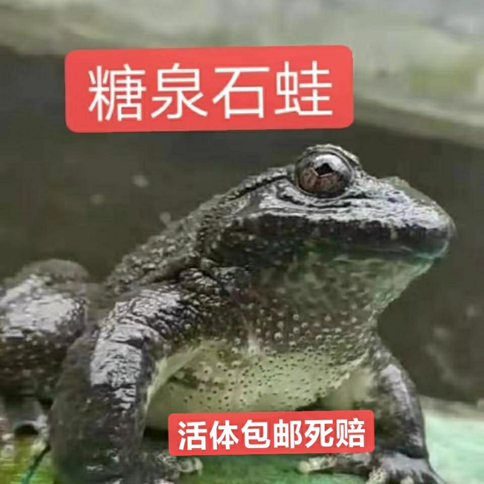 浙江绍兴生鲜鱼蛙养殖
