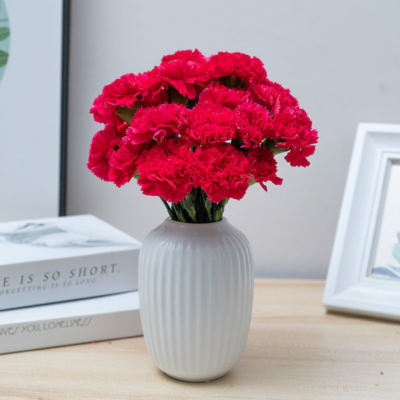 康乃馨鲜花云南基地直发花束家用水养送妈妈礼物康乃馨速递包邮