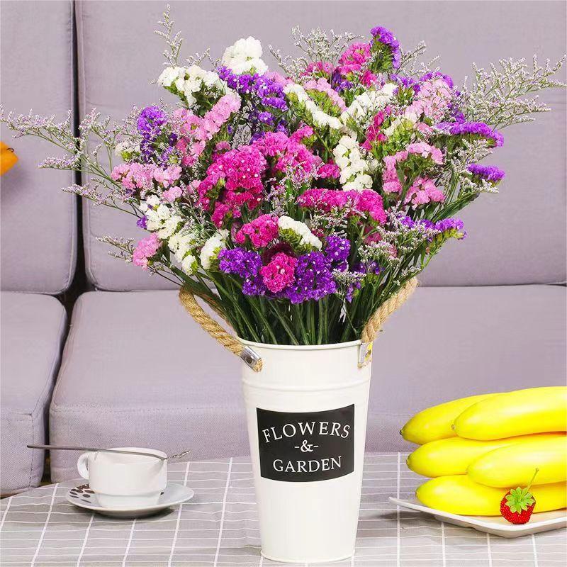 勿忘我花束（ 买一送一 长款大束） 新鲜发货 无需水养生活鲜花摆件