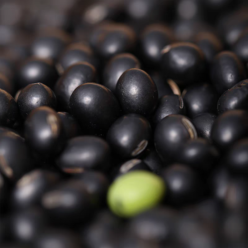 【大勇专属】2025年东北农家自种绿芯黑豆5斤包邮！