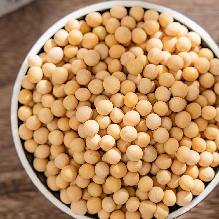 2025年农家自种小粒黄豆非转基因打豆浆生豆芽专用5斤包邮1