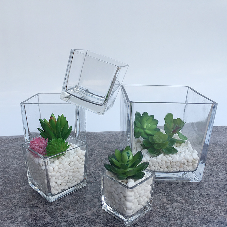 花瓶玻璃绿萝多肉加厚方缸花瓶插玻璃缸轻奢透明迷你水培玻璃花瓶