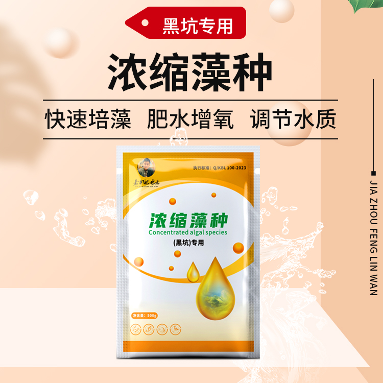 浓缩藻种复合藻黑坑使用培藻产品调水系列调节有机质粉剂稀释一体