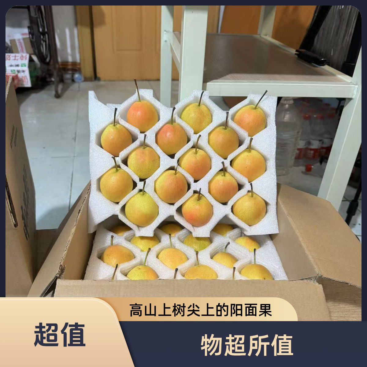 鞍山南果梨阳面果红果正宗东北特产新鲜水果自产