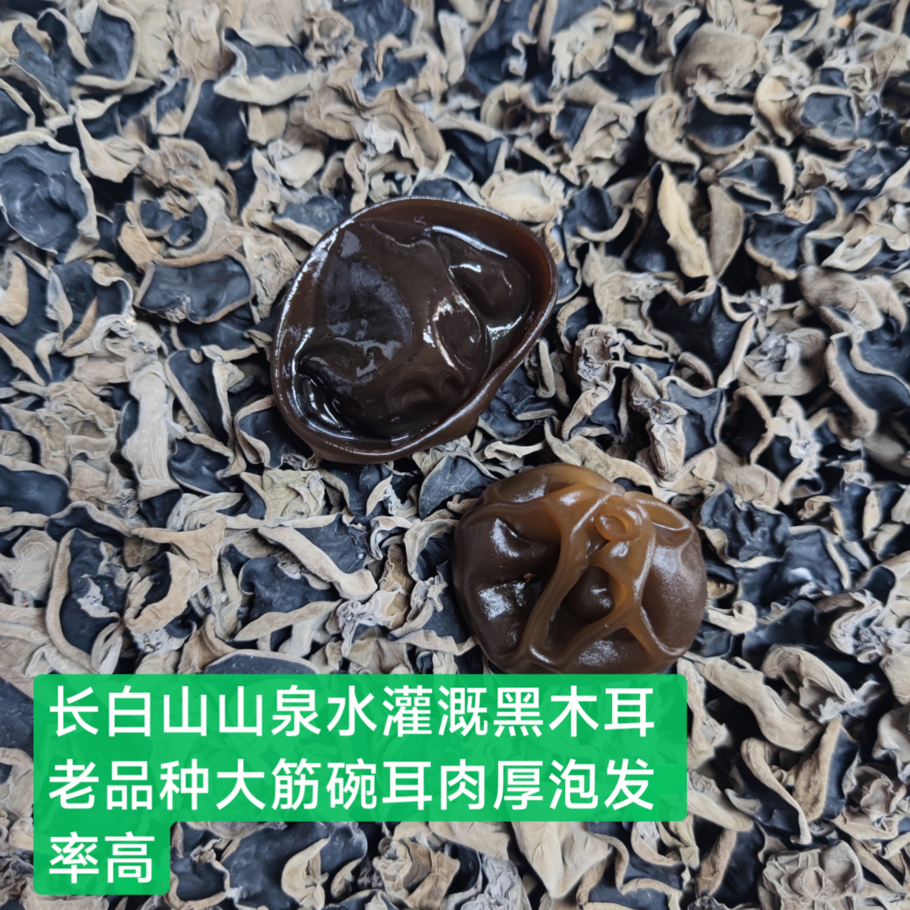 长白山黑木耳矿泉水灌溉老品种大筋小碗黑木耳食用特产