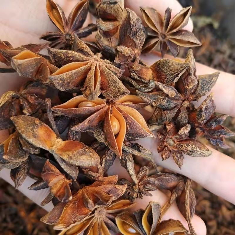 【张东专属】广西足干 老树大红八角 产地直发去腥增增香颗粒