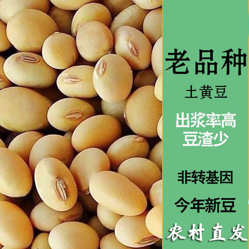 【非转基因黄豆3斤】老品种土黄豆新货椭圆形打豆浆豆腐脱水蔬菜