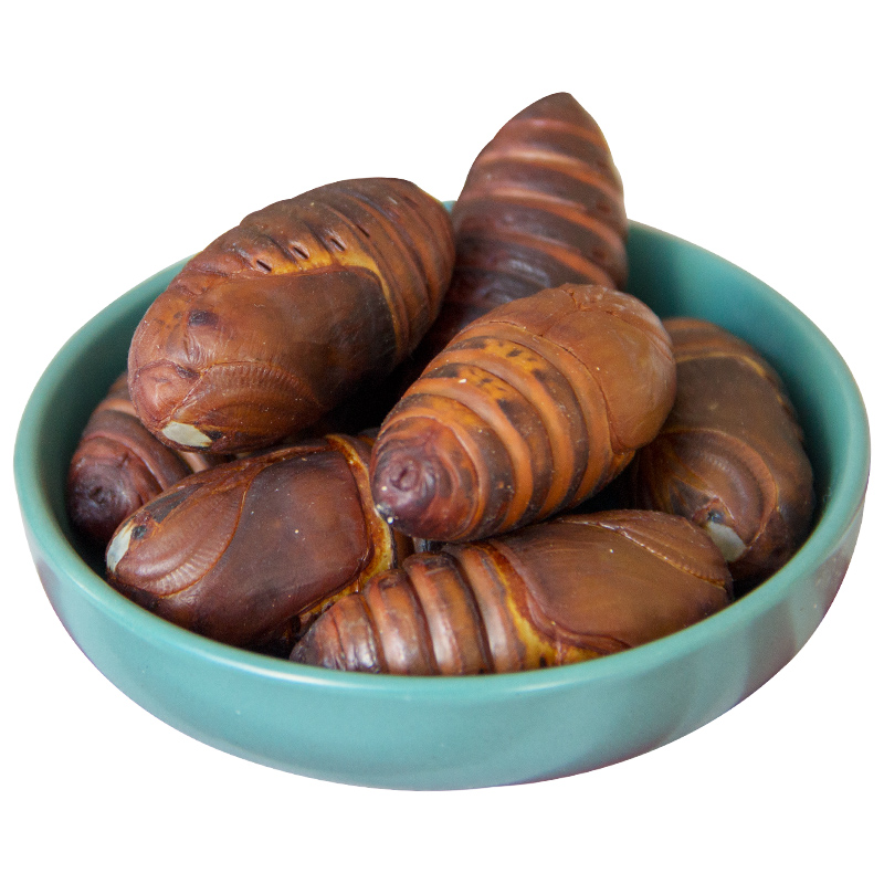 【鲜活发货】2025东北特产二黄大蚕蛹4cm+高蛋白优质营养保鲜不保活