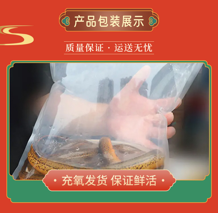 3斤优质土黄鳝食用鱼肉质鲜美细嫩鲜活顺丰包邮发货水产活体鳝鱼