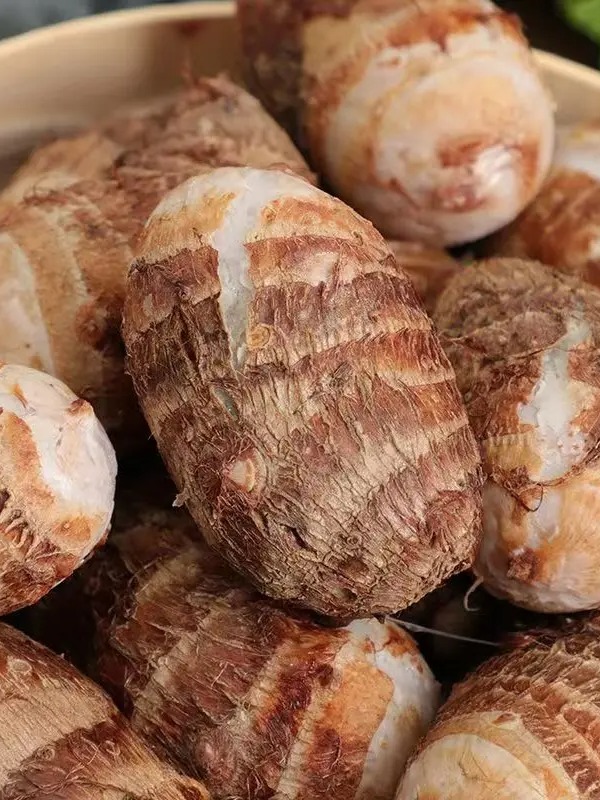 牛奶芋头芋艿香芋新鲜应季现挖现发产地直销香甜软糯芋头净重包邮