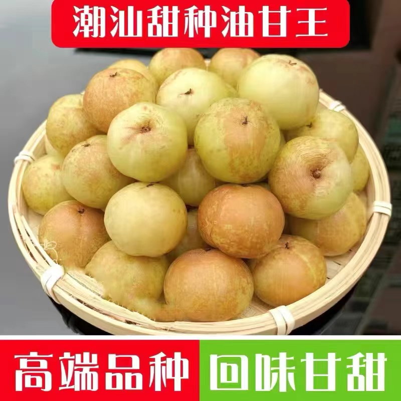 潮汕金灶柿饼甜油柑酥脆回甘甜大果生吃榨汁煲汤一斤装包邮