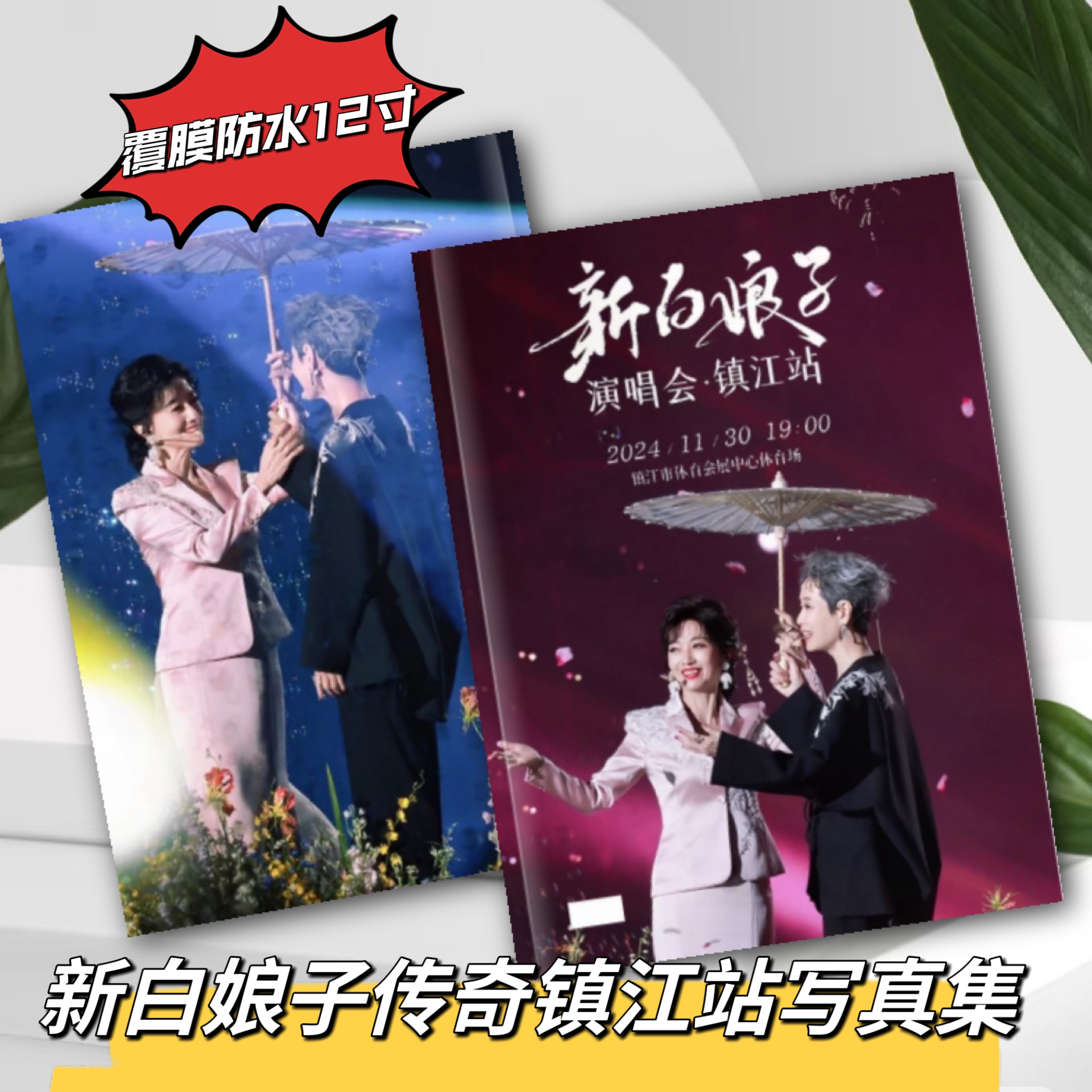 新白娘子传奇30周边大聚首演唱会镇江站苏州站写真集