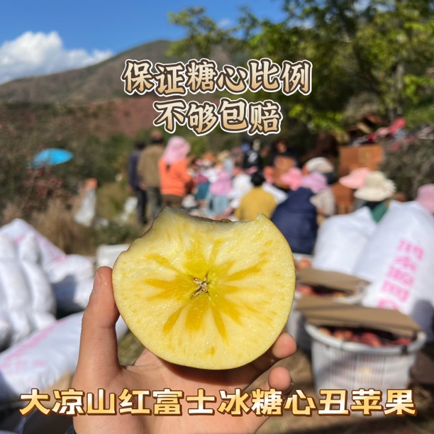 【顺丰京东】大凉山盐源红富士冰糖心丑苹果产地直发