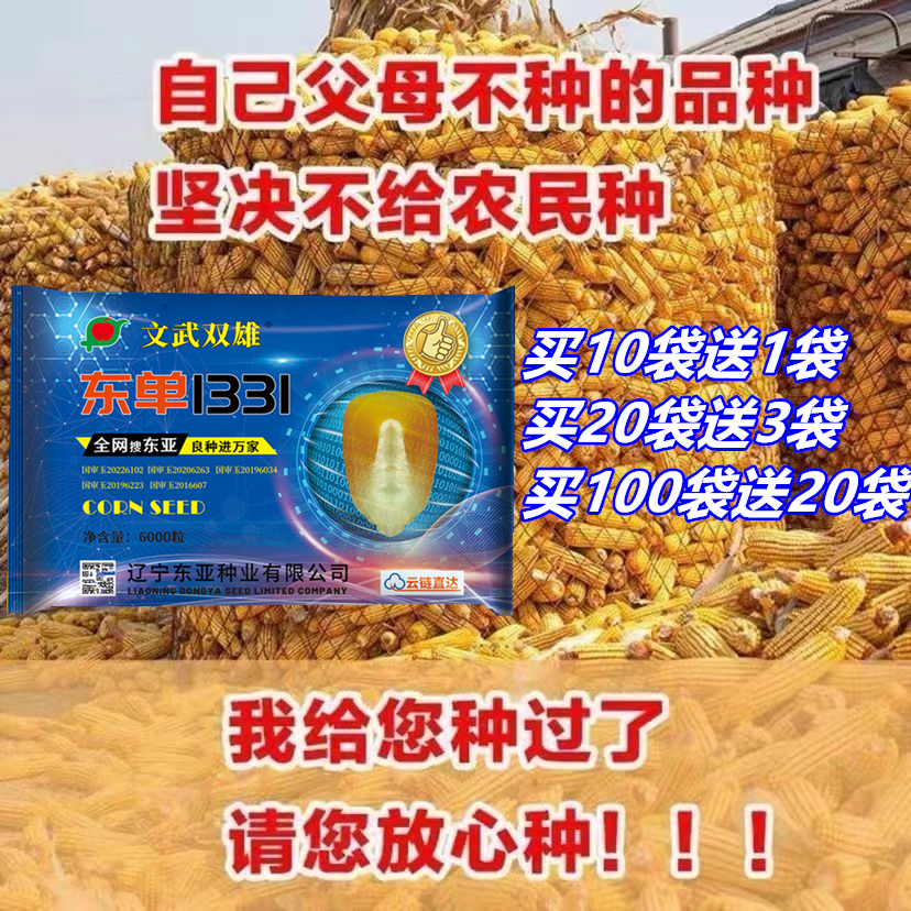 东亚文武双雄东单1331玉米种子矮杆红轴苞谷抗倒伏抗旱非小钢炮