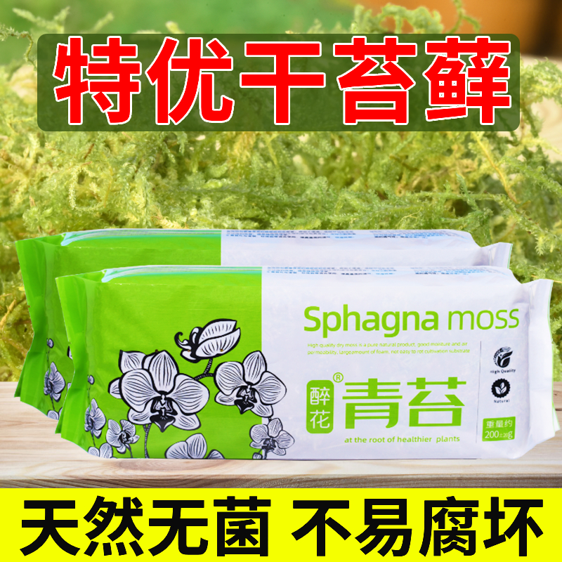 干苔藓水苔青苔兰花蝴蝶兰石斛种植专用营养土乌龟垫材养花鲜活