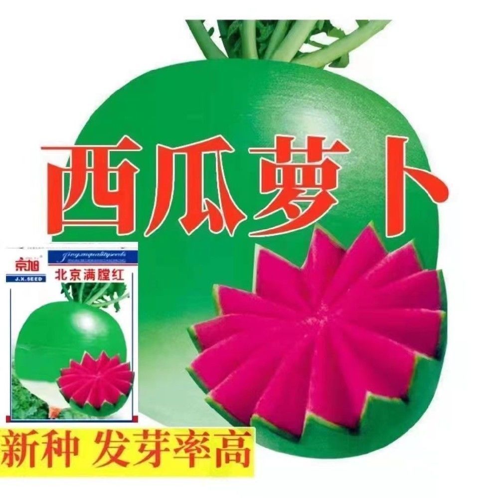【西瓜萝卜种子】西瓜萝卜种籽甜脆青皮红瓤红心水果萝卜四季春夏