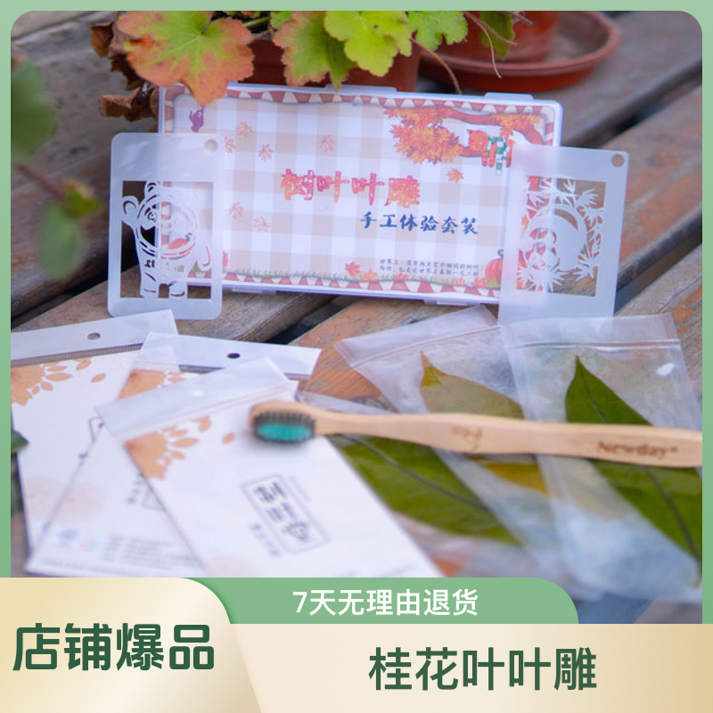叶雕（湿雕）手工体验套装    桂花叶叶雕   手工DIY