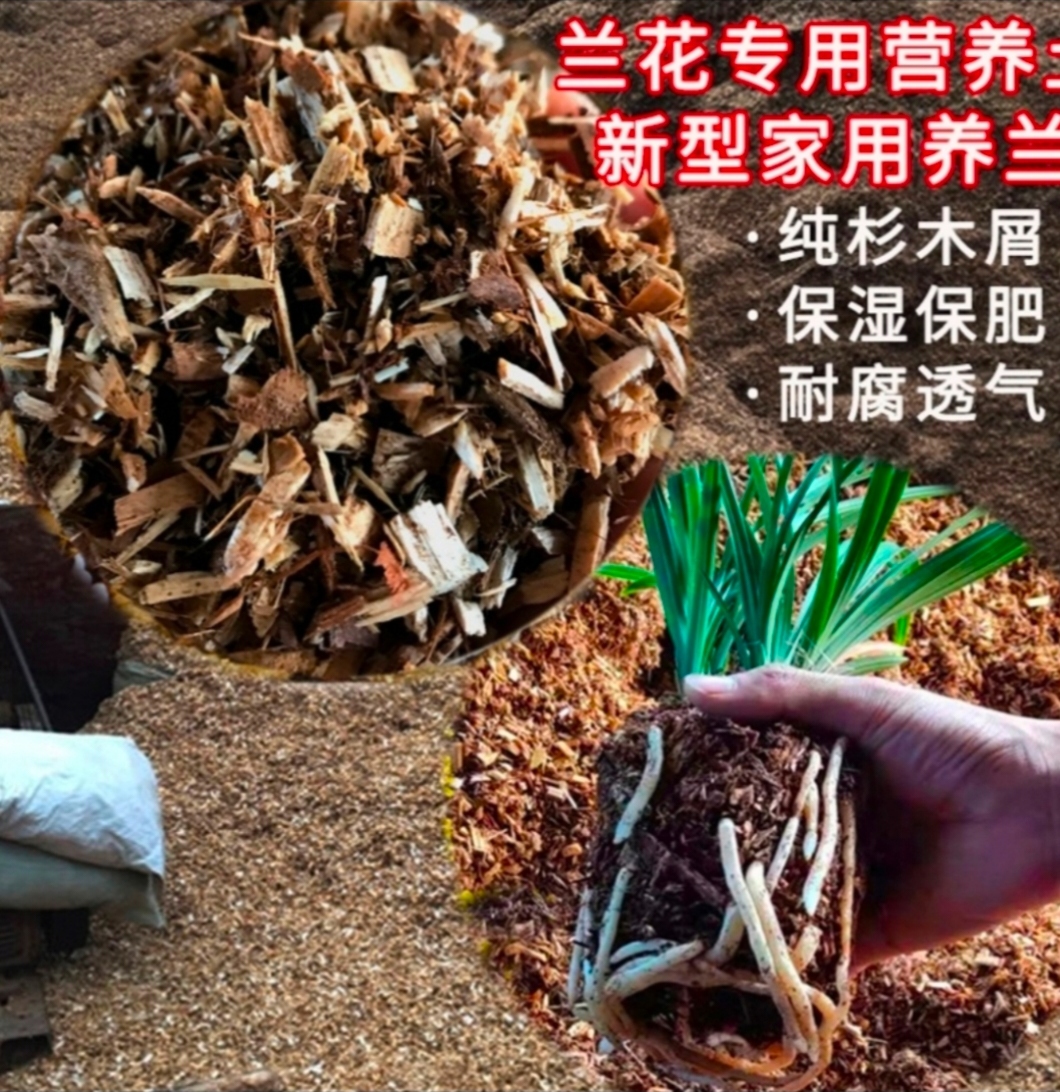 兰花营养土杉木屑植料