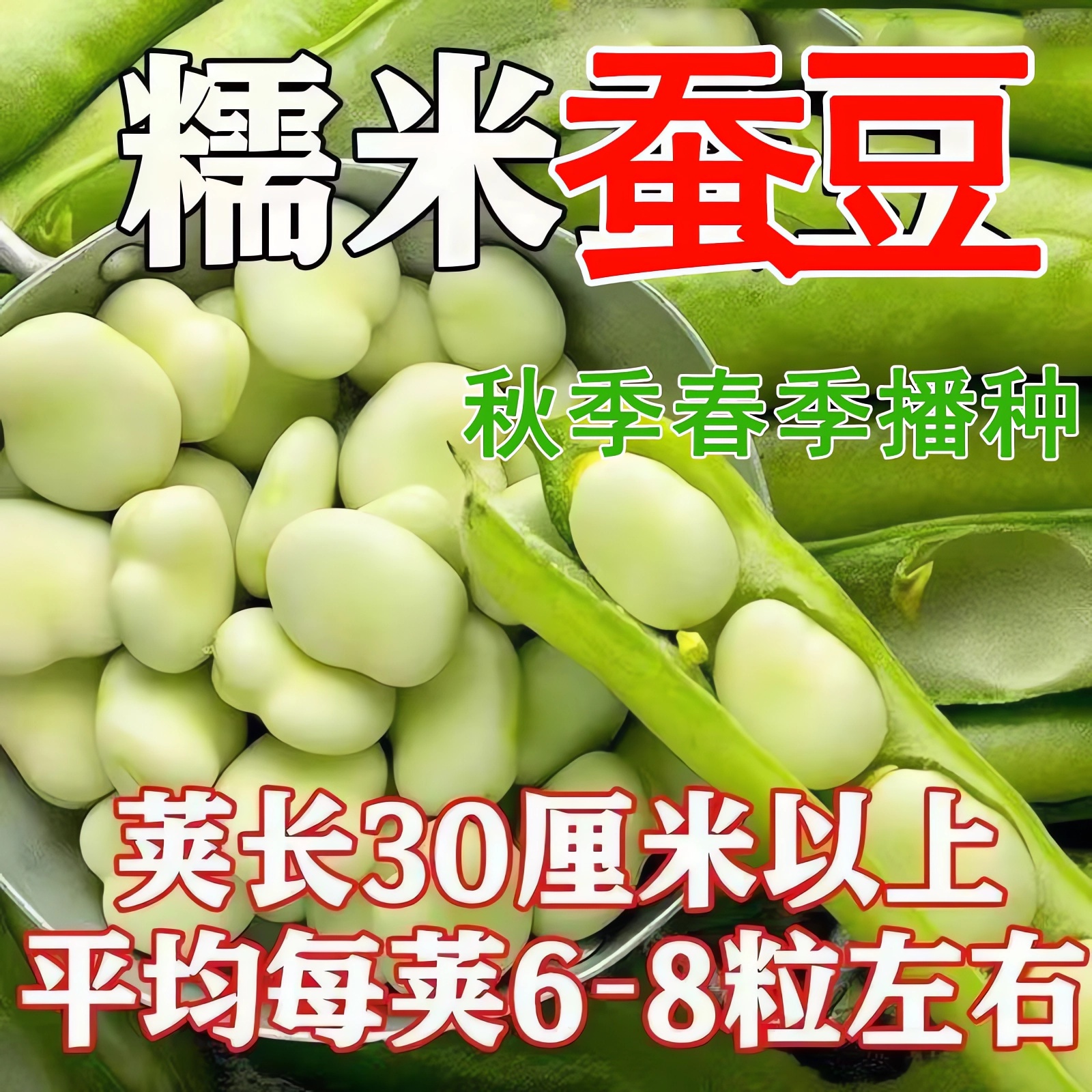 蚕豆种子北斗七星特大高产罗汉豆种籽春秋冬季播种早熟耐寒胡豆籽