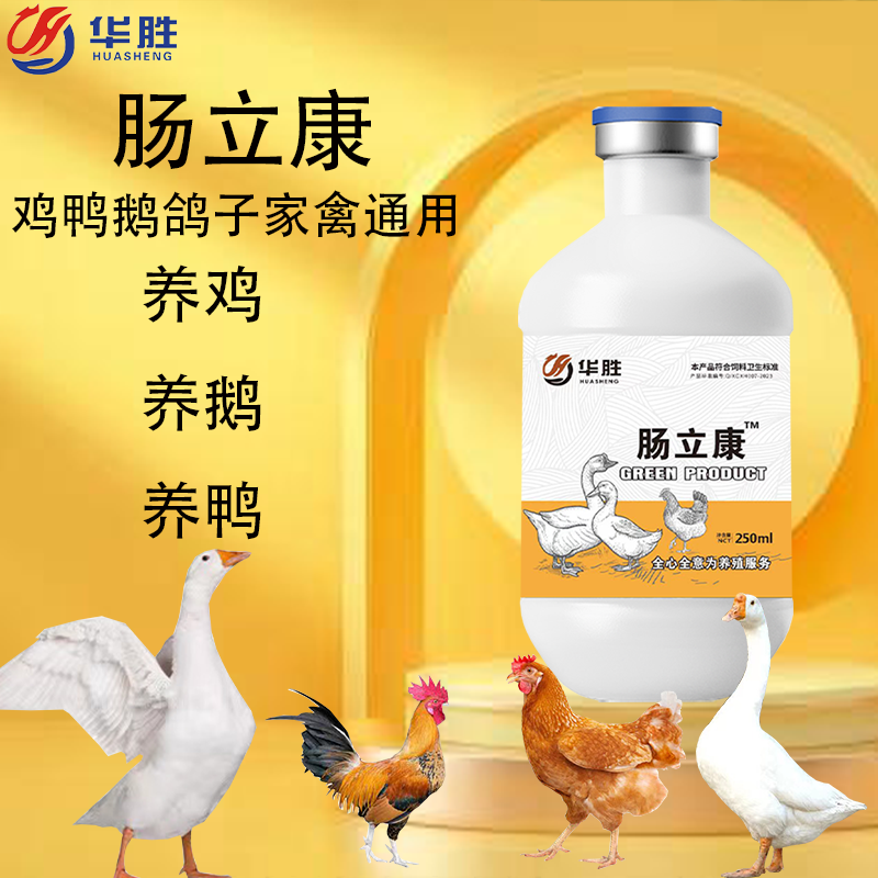 肠立康鸡鸭鹅鸽子家禽一片通用养殖故事受凉拉稀饲料十年前添加剂