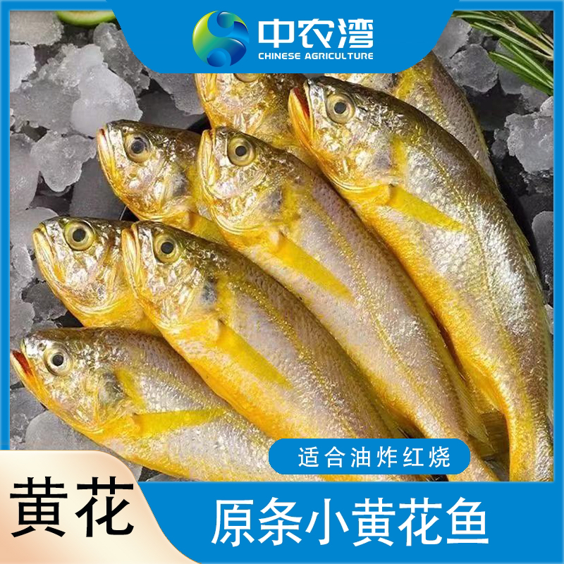 【中农湾】原条4斤鲜冻小黄鱼10-14条/斤（500g/袋*4袋）