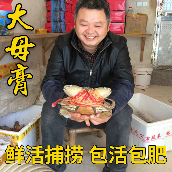【大膏蟹】三门青蟹大红膏母蟹 海鲜水产鲜活大螃蟹红鲟膏蟹礼盒