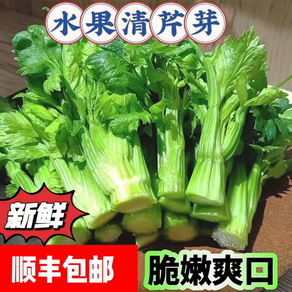 水果清芹芽顺丰包邮云南水果芹菜榨汁蔬菜网红菜清香爽口新鲜脆嫩