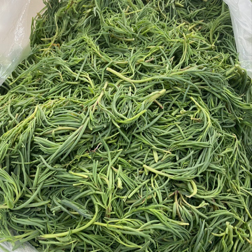 野菜黄须菜鲜嫩爽口适合多种吃法营养美味富含多种矿物质膳食纤维