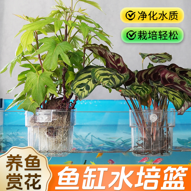 【装在鱼缸里的大自然】水培植物篮水草种植鱼缸装饰水培定植篮XL