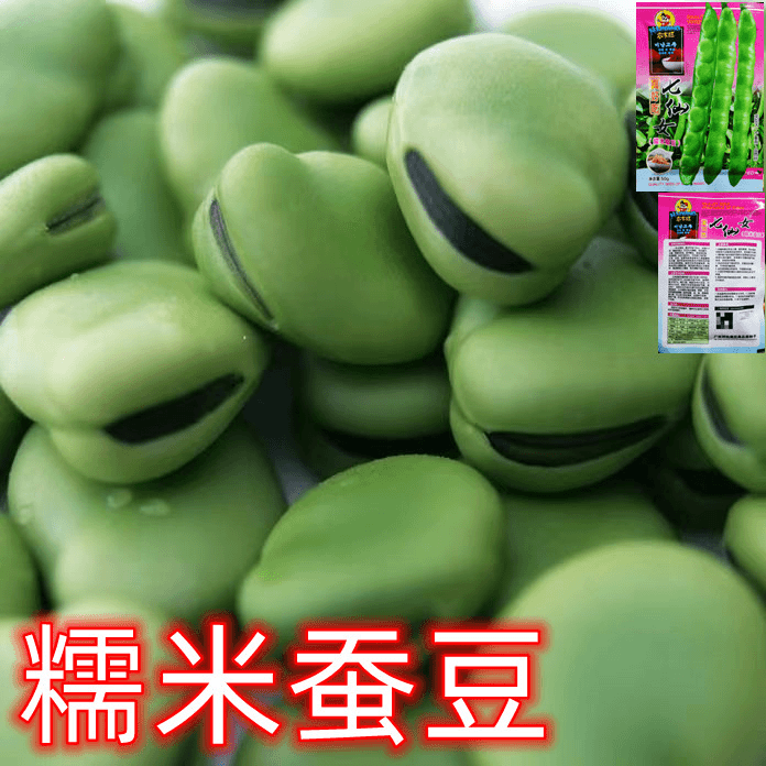真好吃糯米蚕豆种子七仙女绿皮蚕豆种子高产抗病绿皮绿心蚕豆种子