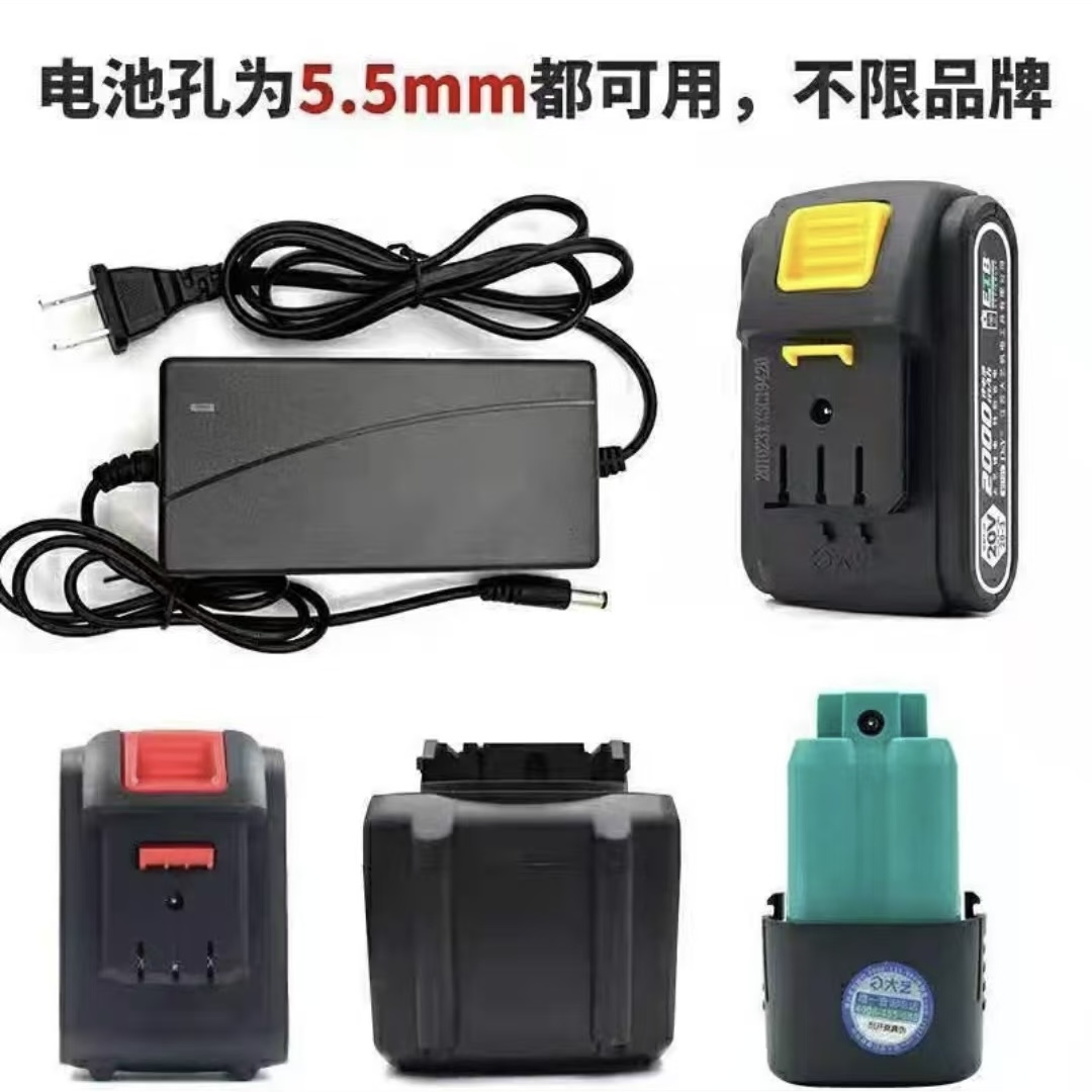 大艺21V智能双头快充通用36V48VF电扳手手电钻角磨机锂电池充电器