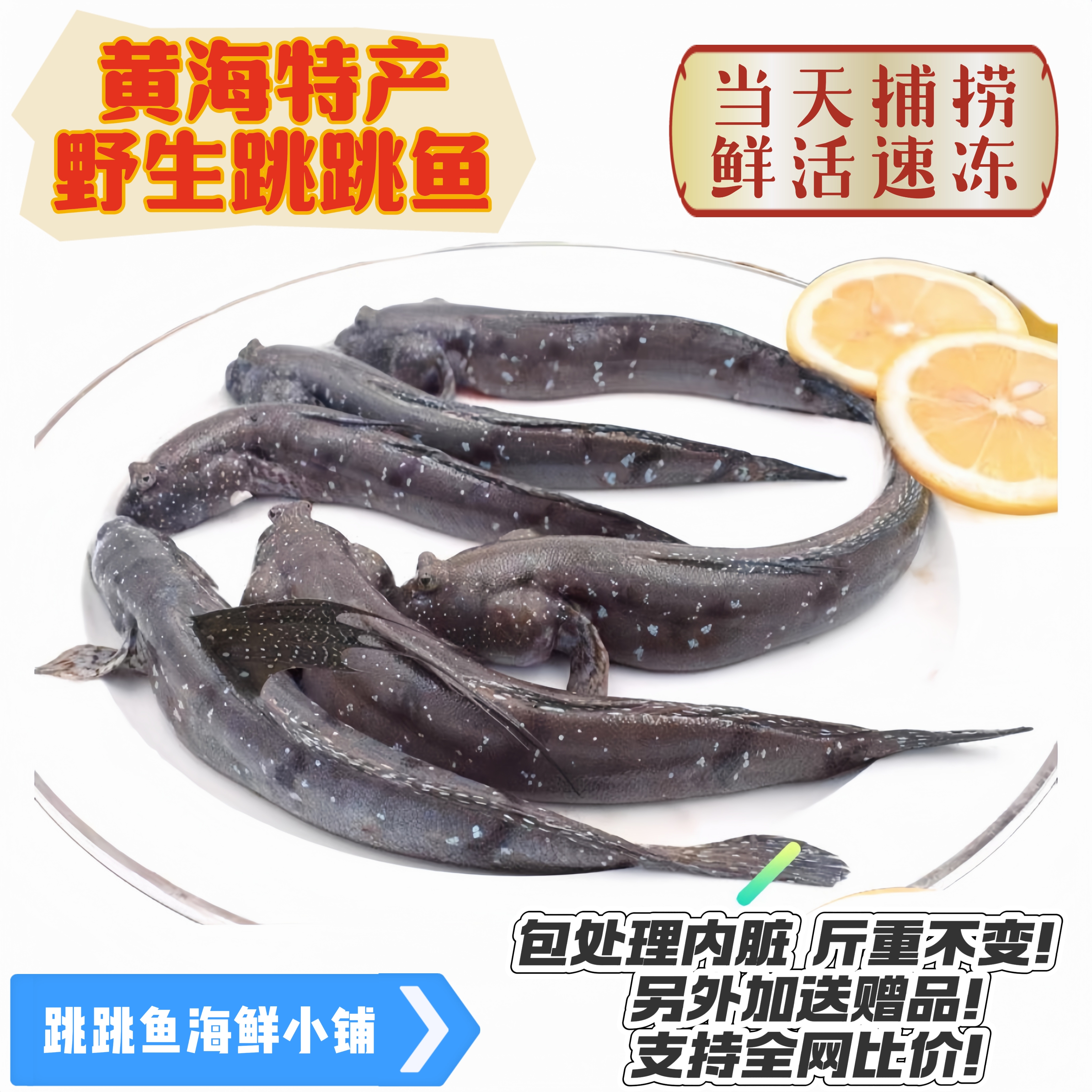 跳跳鱼 弹涂鱼 滩涂鱼 食用活体速冻 舌尖上的中国 老人孕妇孩子